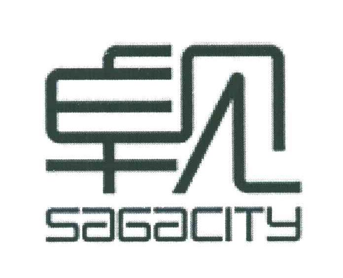 卓见;SAGACITY