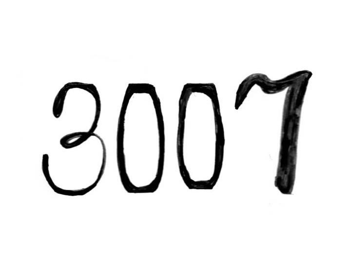 3007
