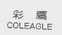 彩鹰   COLEAGLE