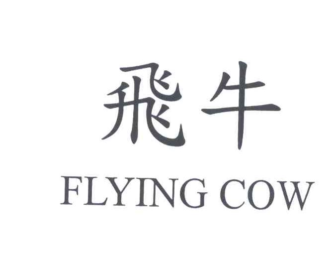 飞牛
