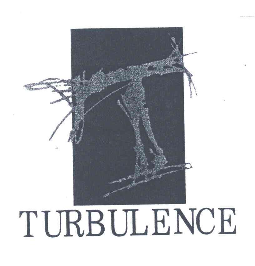 TURBULENCE