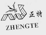 正特