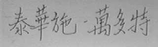 泰华施-万多特