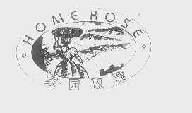 家园玫瑰   HOME ROSE