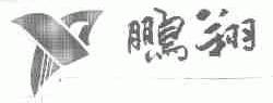 鹏翔
