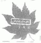 富丽达;FOR LIN DA