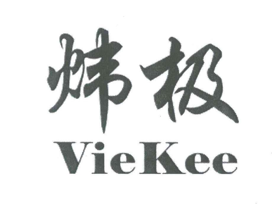 炜极 VIEKEE