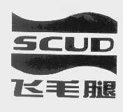 飞毛腿   SCUD
