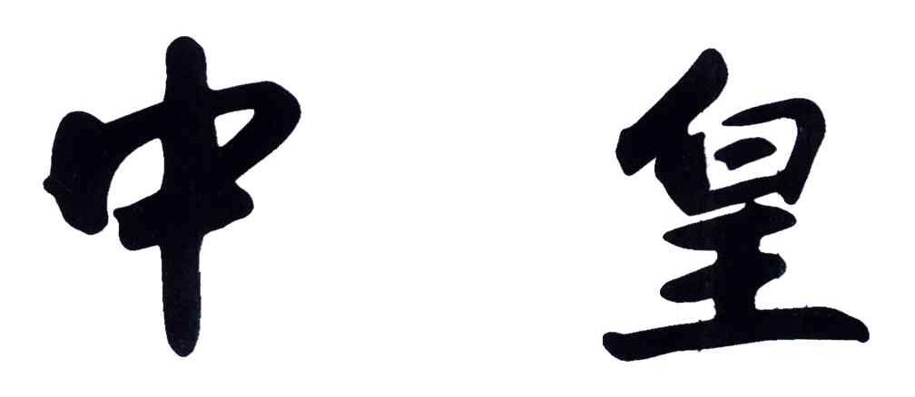 中皇