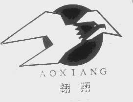 翱翔