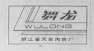 舞龙