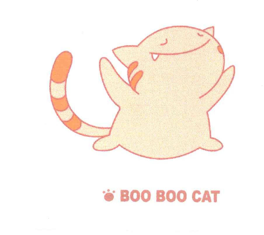 BOO BOO CAT