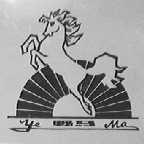 野马
