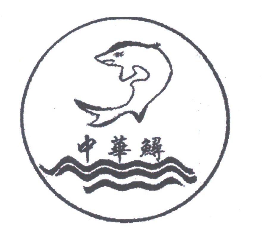 中华鲟