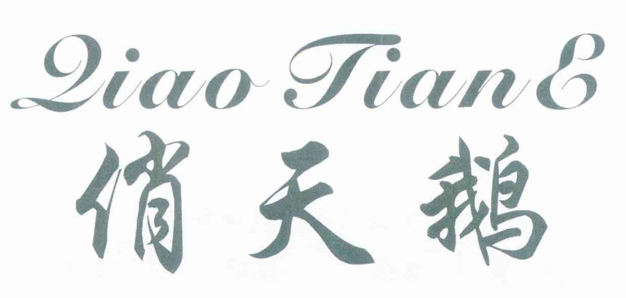 俏天鹅