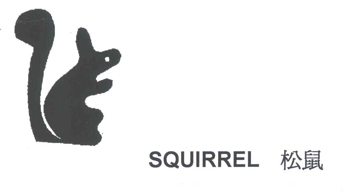 松鼠;SQUIRREL