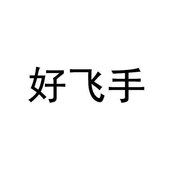 好飞手