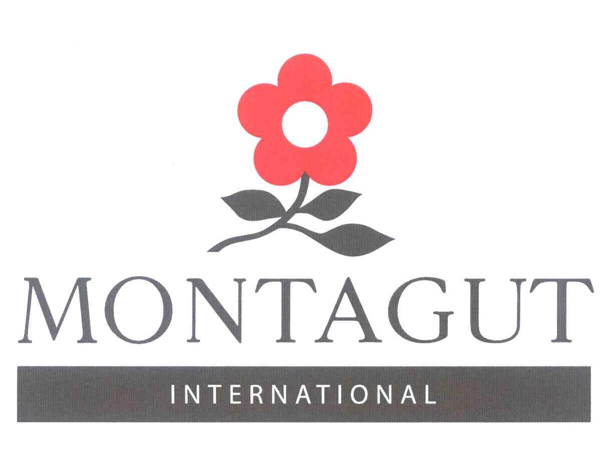 MONTAGUT INTERNATIONAL