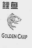 鲤鱼  GOLDENCARP