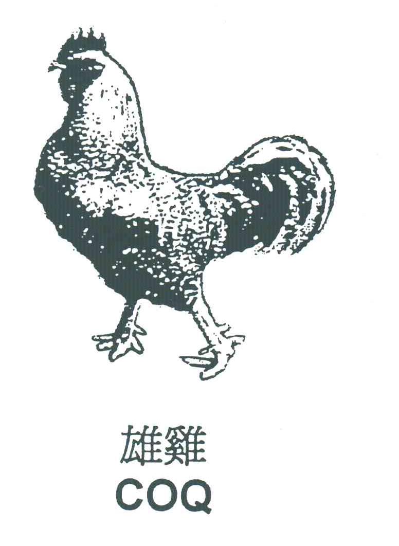 雄鸡;COQ