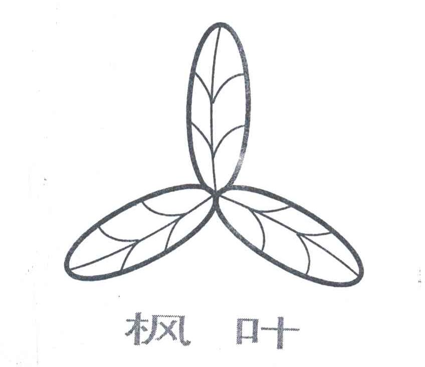 枫叶