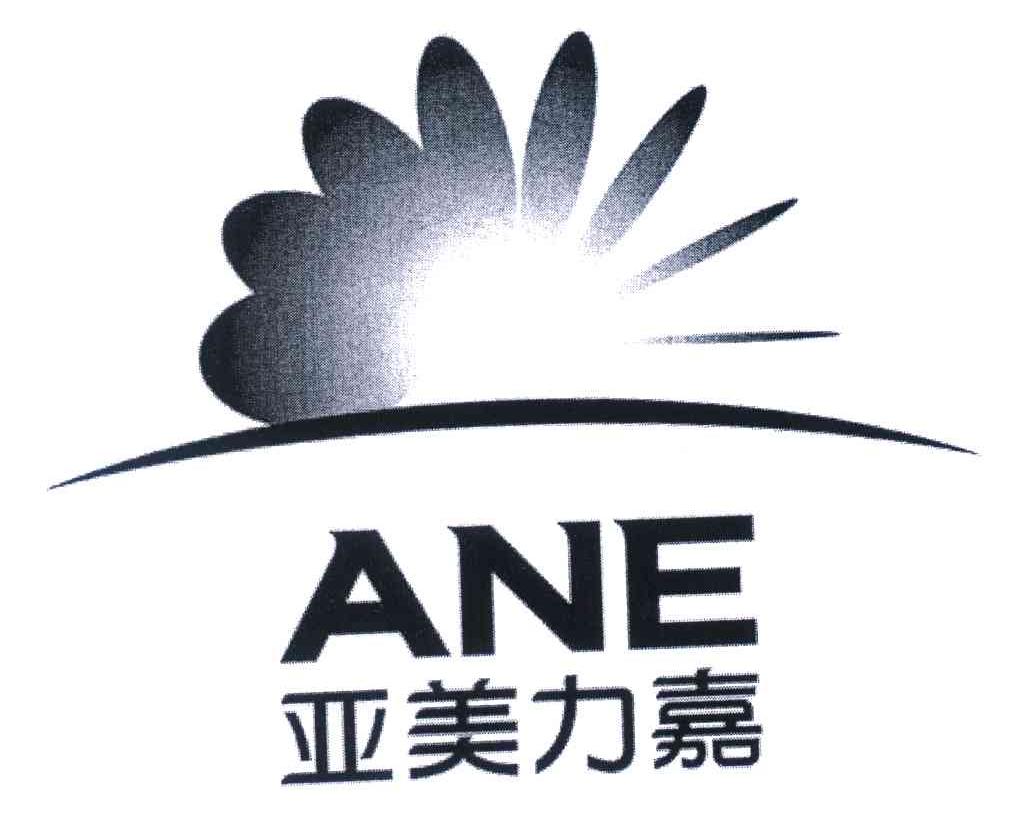 亚美力嘉;ANE
