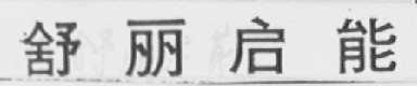 舒丽启能