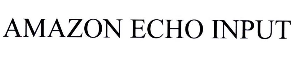 AMAZON ECHO INPUT