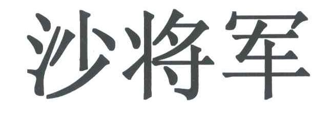 沙将军