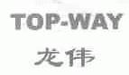 龙伟;TOP-WAY