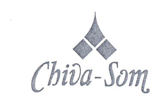 CHIVA-SOM