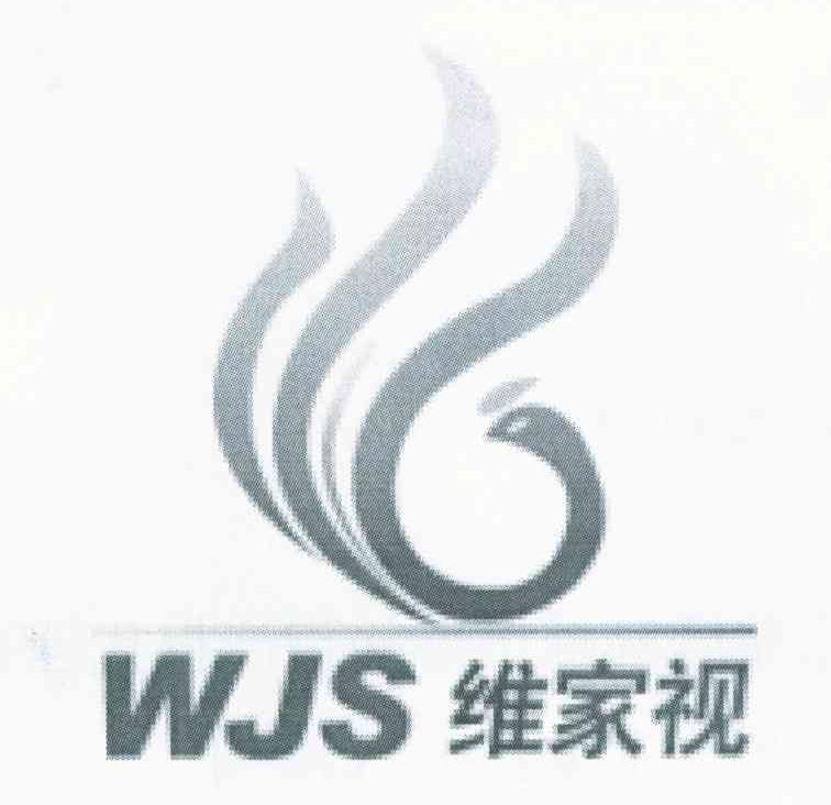 维家视 WJS