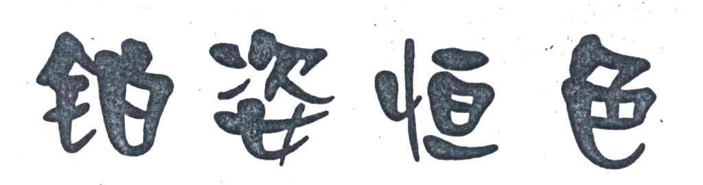 铂姿恒色