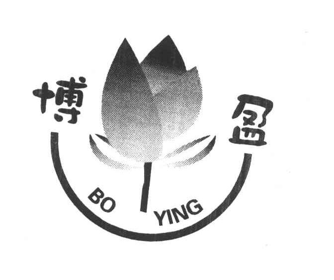 博盈