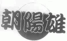朝阳雄