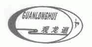 观龙回