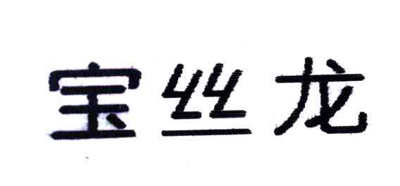 宝丝龙