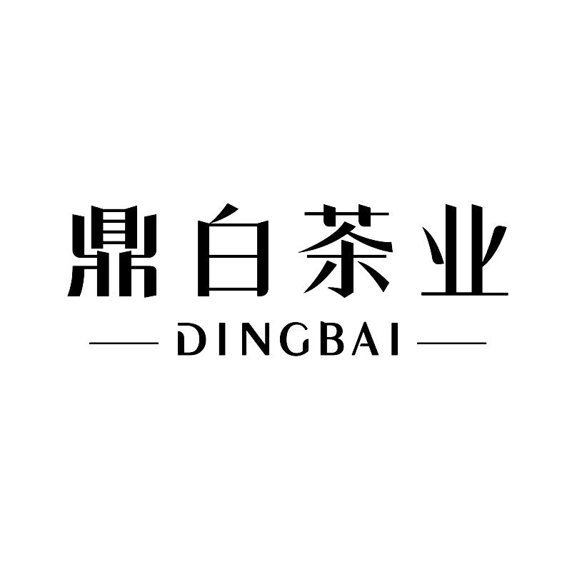 鼎白茶业 DINGBAI