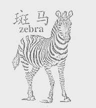 斑马   ZEBRA