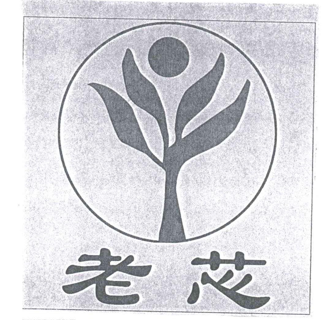 老芯