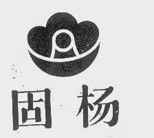 固杨