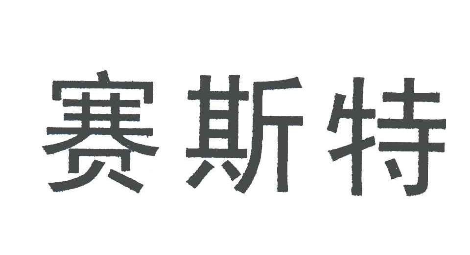 赛斯特