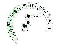 CERTIFIED ROBOT PROFESSIONAL