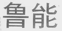 鲁能