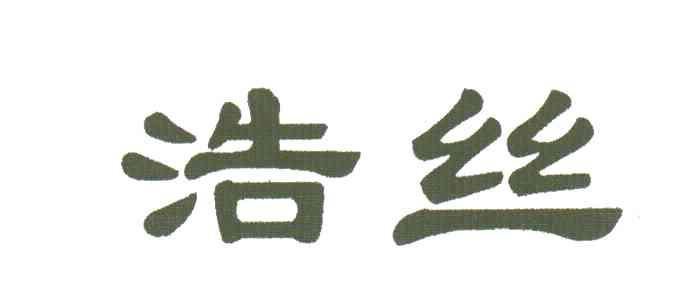 浩丝