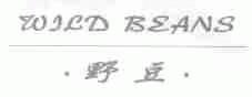 野豆;WILD BEANS