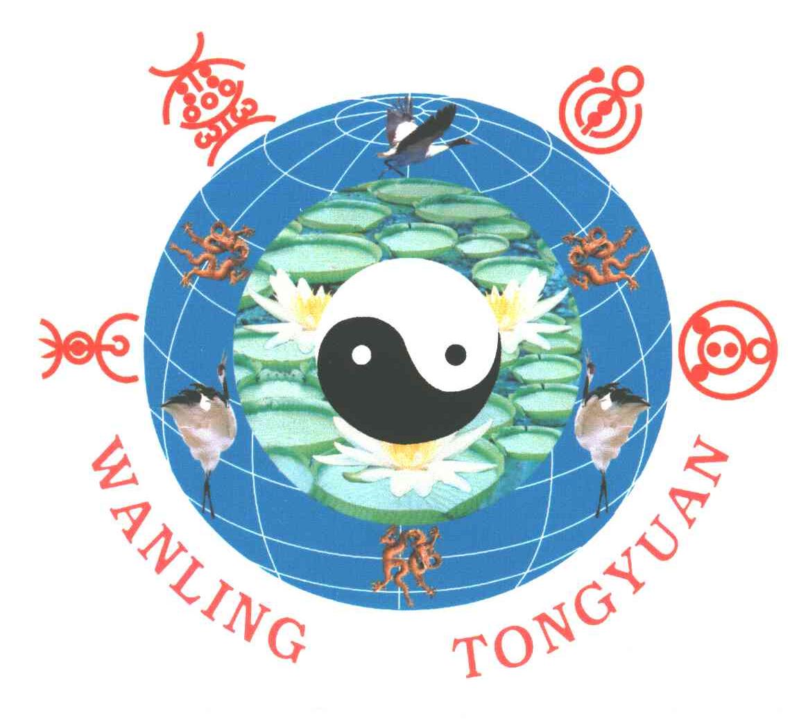 万灵通圆
