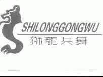 狮龙共舞