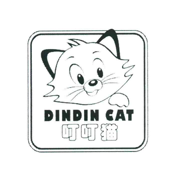叮叮猫 DINDIN CAT