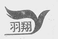 羽翔
